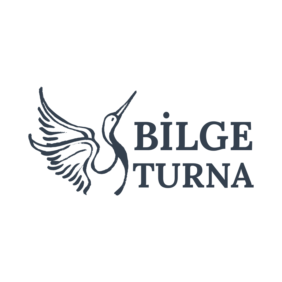 Bir başlık ekleyin (8) Bir başlık ekleyin (8)